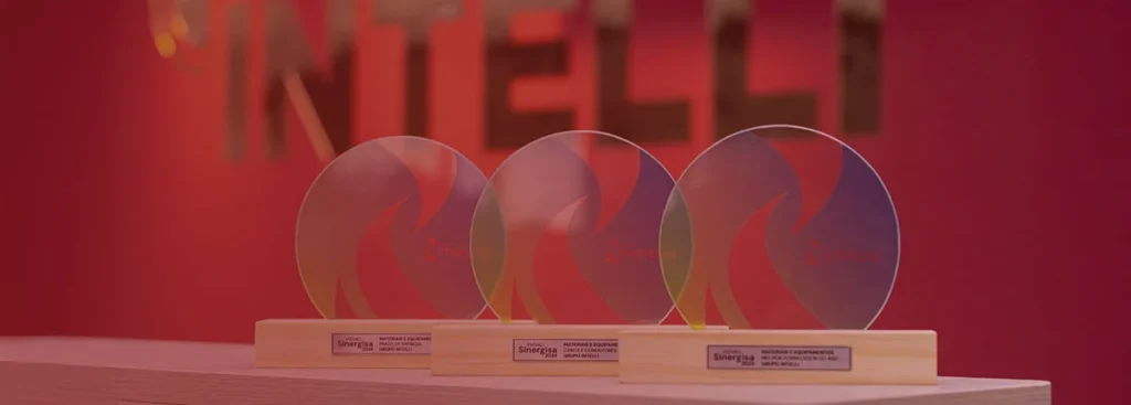 Prêmio Sinergisa 2024: Intelli vencedora