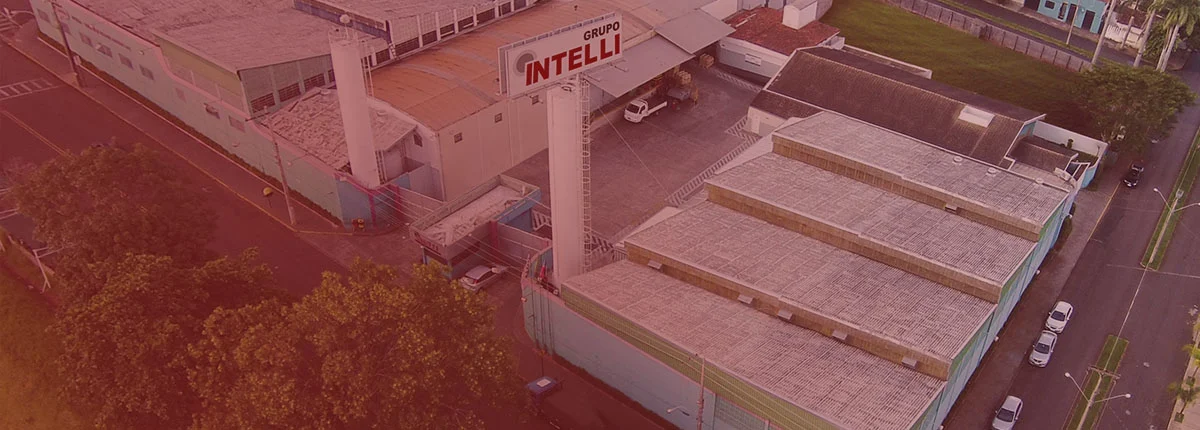 INTELLI: mais de 50 anos de liderança no setor elétrico