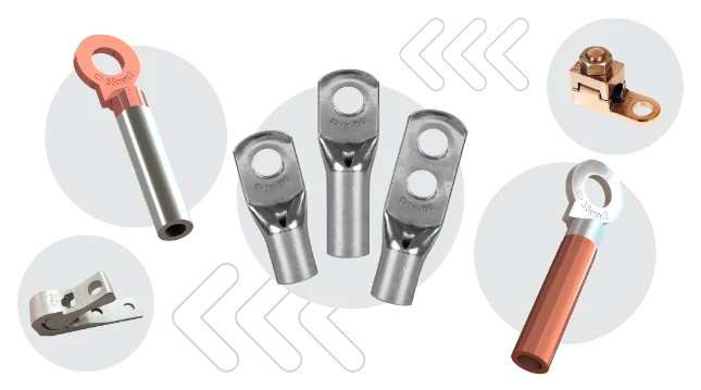 Saiba mais sobre o Cinase 2026 e sobre o Portfólio da INTELLI